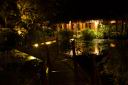 HoneyMoon 589.jpg
